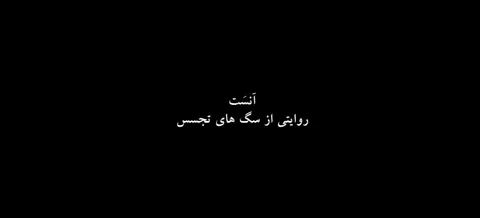 نمایش ( فیلم مستند آنست) در روبیکا