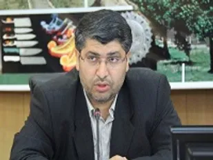 دولت ارائه&lrm;بسته&lrm;های تشویقی فرزندآوری به زوجین راباجدیت دنبال کند