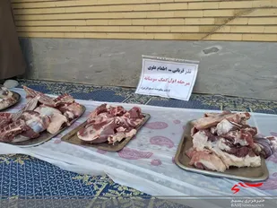 نذر قربانی اطعام علوی