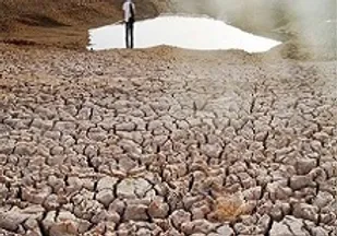 دولت درباره اصلاح الگوی مصرف فقط شعار می دهد