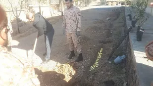 ترویج فرهنگ درختکاری و توسعه فضای سبز