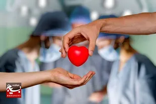 گیرندگان اعضای اهدائی مبلغی بابت عضو پرداخت نمی کنند
