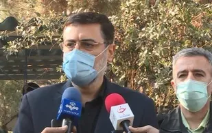 قاضی زاده: تشکیل ۷۳ پرونده شهید برای قربانیان حادثه سقوط هواپیمای اوکراینی