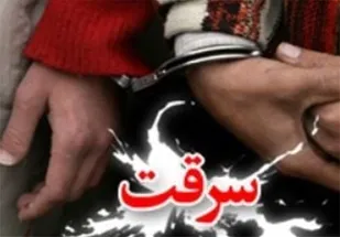 کشف ۱۴ فقره سرقت منزل در همدان