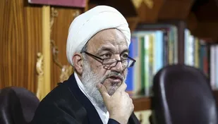 طرح صیانت ایراداتی دارد/ ساماندهی فضای مجازی دیر شده است