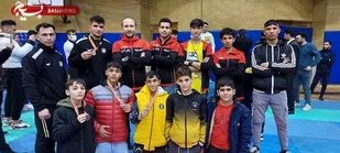 درخشش تیم ووشوی شهرداری باقرشهر در مسابقات قهرمانی استان تهران