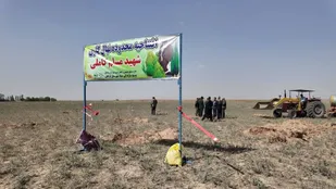 نهال&zwnj;کاری، نماد ایمان، تلاش و مسئولیت ما در برابر آینده کشور است