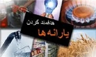مصباحی&zwnj;مقدم: درآمد و هزینه هدفمندی همخوان نیست