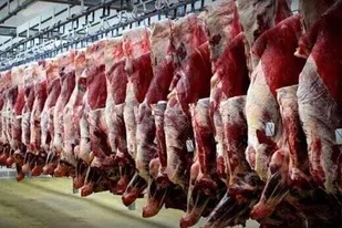 کاهش قیمت گوشت در میادین میوه و تره بار پایتخت
