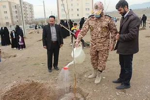 برگزاری مراسم درختکاری در شهرک کوثر کرج