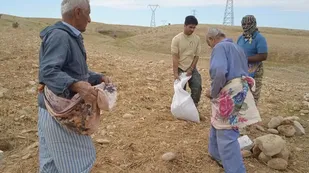اجرای طرح &laquo;همگام با کشاورزان&raquo; از سوی بسیجیان در بهبهان