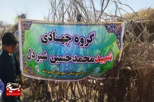 واکسیناسیون ۱۰۰۰ راس دام سبک در مناطق عشایری هیرمند
