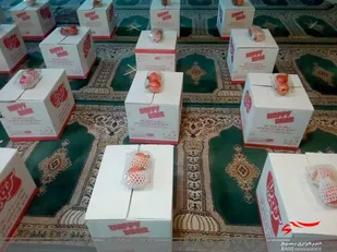 طرح جامع سلامت محله محور شهید سلیمانی در محله کوی امامیه اجرا شد