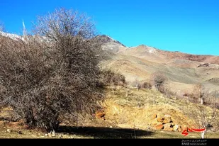 طبيعت يك روز زمستاني گلپايگان