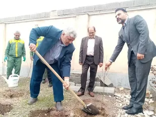 کاشت نهال  به نیت شهدا در   شهرستان بهارستان