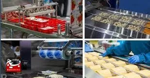 صنایع تبدیلی در شهرک&zwnj;های صنعتی استان اردبیل توسعه می&zwnj;یابد