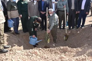 آئین کاشت ۳ میلیون اصله درخت در شهرستان مهران برگزار شد