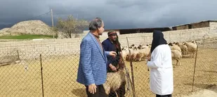 رسیدگی به مشکلات دامداران هزارانی