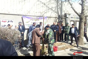 کاشت نهال توسط بسیجیان در تویسرکان