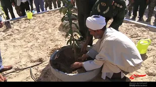 کاشت 100 اصله نهال در تیپ امام صادق (ع)