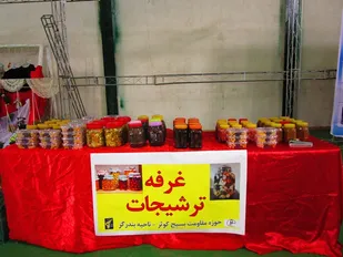 برپایی نمایشگاه اقتصاد مقاومتی در بندرگز