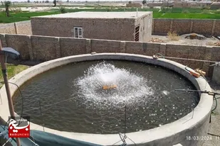 احداث استخرهای خرد مقیاس پرورش ماهی در منازل روستایی
