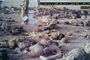 داستان عکسی تکان دهنده از جنگ