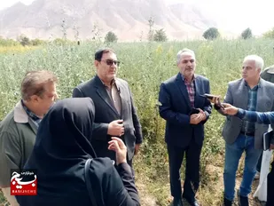 رصد جنگل&zwnj;ها و اراضی منابع طبیعی با سیستم ماهواره&zwnj;ای/فعال شدن پنجره واحد زمین