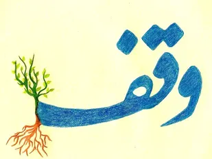 ثبت ۵ وقف جدید به موقوفات در دامغان