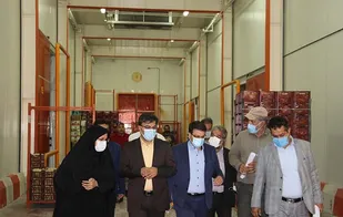 بازدید معاون هماهنگی امور اقتصادی استانداری تهران از یک واحد سردخانه صنعتی در شهریار