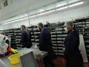 بازدید از واحد نمونه فرآوری و صادرات آبزیان مُطاف در شهرک صنعتی بوشهر