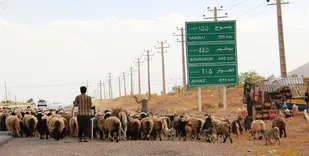 تعویق کوچ عشایر به استان اصفهان در شرایط قرمز کرونایی/ کمترین مبتلا را در جامعه عشایری داشته&zwnj;ایم