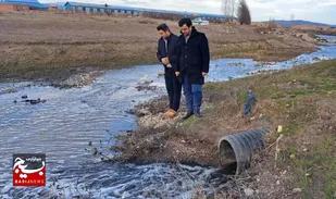 ورود دادستان نمین به ماجرای آلودگی رودخانه قره&zwnj;سو