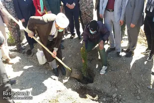 کاشت ۳۰۰ اصله نهال در بوستان نفس ملایر