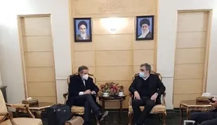 رافائل گروسی وارد تهران شد