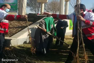 درختکاری بسیجیان پایگاه شهید بهشتی همدان