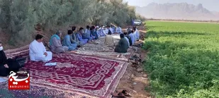 برگزاری کلاس توجیهی کاشت پاییزه ویژه کشاورزان پیشرو
