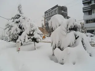 فعالیت 8 اکیپ عملیاتی برای وصل برق تویسرکان