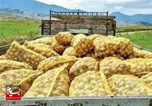 بازار سیب&zwnj;زمینی آرام نشود، مداخله می&zwnj;کنیم