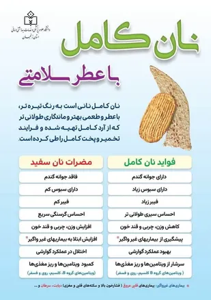 تولید نان کامل در زنجان آغاز شد