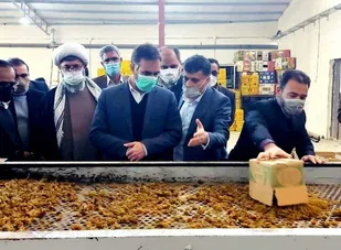 ۵۰ درصد انگور خراسان رضوی در کاشمر، خلیل&zwnj;آباد و بردسکن تولید می&zwnj;شود