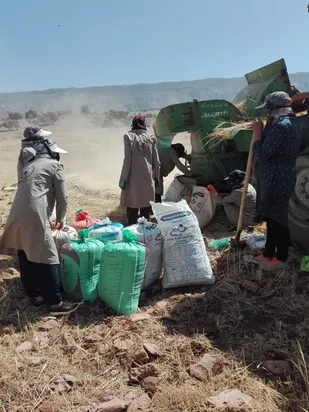 اقدامات جهادی پایگاه نرجس خاتون روستای گله دار شهرستان بدره