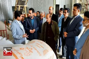 بیش از ۳۸۷ هزار تن نهاده دامی در سیستان و بلوچستان توزیع شد