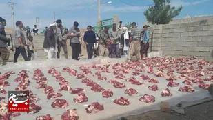 توزیع ۵۰۰ کیلوگرم گوشت گرم میان نیازمندان روستای سنی نشین دوسنگ تربت&zwnj;جام+تصاویر