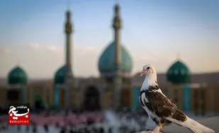 برگزاری &laquo;همدلی برای ظهور&raquo; در مسجد مقدس جمکران
