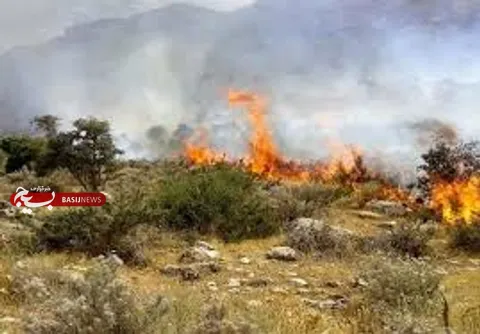 کاهش ۹۰ درصدی آتش‌سوزی در جنگل‌ها و مراتع استان سمنان