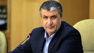 هدف&zwnj;گذاری خوبی برای تولید برق هسته&zwnj;ای شده است