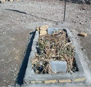مسئولان خجالت بکشند