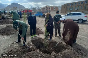 روز درختکاری در شهرستان تفرش