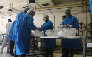 دانشجویان البرزی ۲۰۰۰ وعده غذای گرم بین خانواده&zwnj;های کم برخوردار کرج توزیع کردند + تصاویر